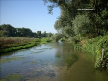 Il fiume Esino e la Selva circostante