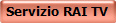 Servizio RAI TV