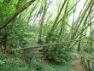 La Selva